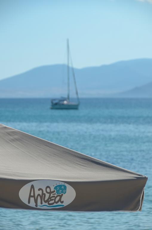 Naxian Althea Apartamento Agia Anna  Exterior foto